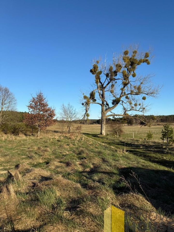 Działka rolna Gardna Wielka. Zdjęcie 5