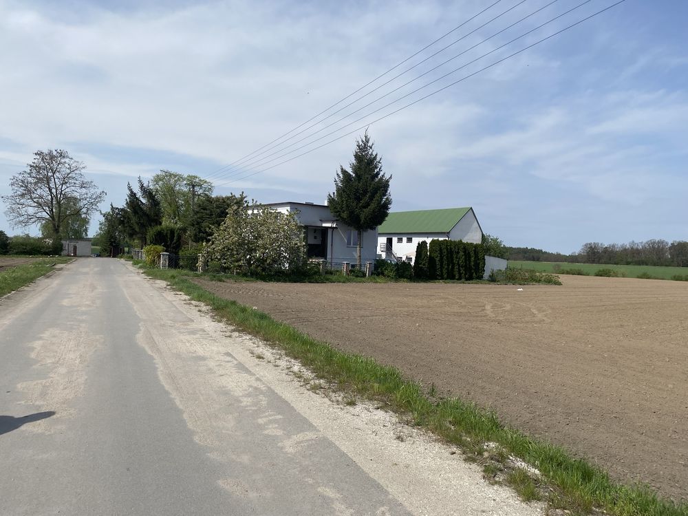 Działka budowlana Rojewo. Zdjęcie 3