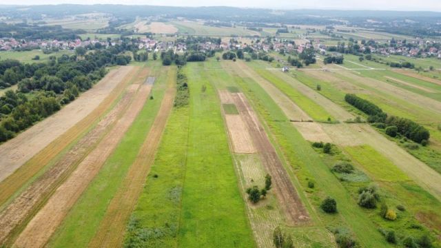Działka budowlana Jodłówka. Zdjęcie 9