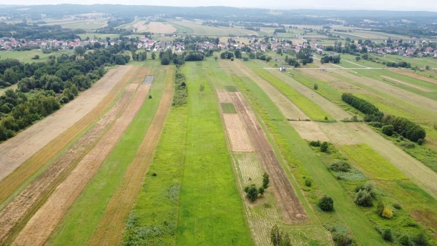 Działka budowlana Jodłówka. Zdjęcie 9