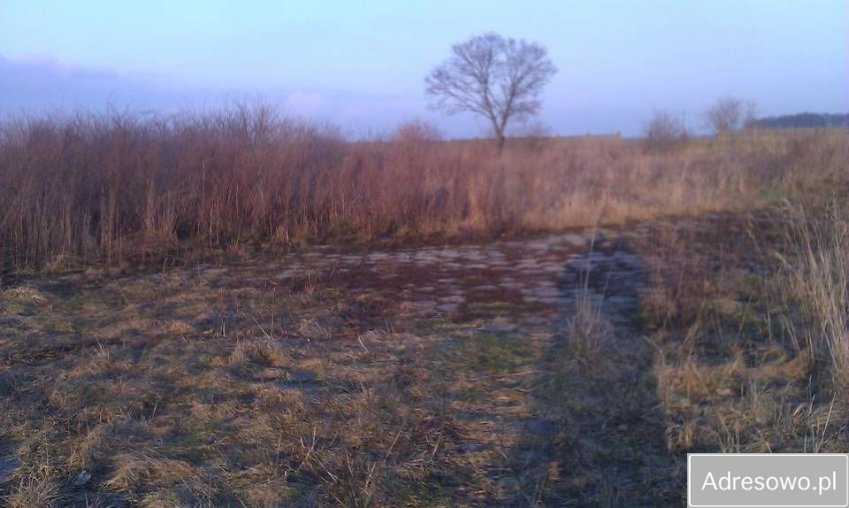 Działka inwestycyjna Załęcze. Zdjęcie 3
