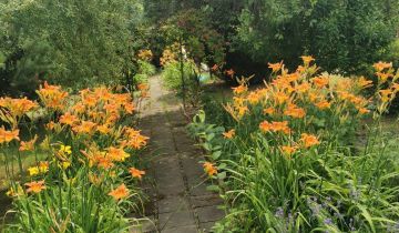 Działka rod Gliwice Trynek, ul. Góry Chełmskiej