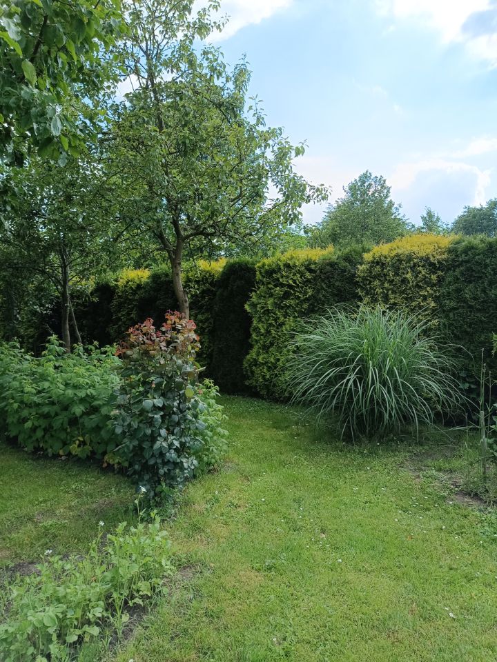 dom wolnostojący, 5 pokoi Lubaczów Mazury, ul. Akacjowa. Zdjęcie 7