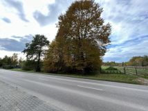 Działka rolno-budowlana Suchoczasy. Zdjęcie 1