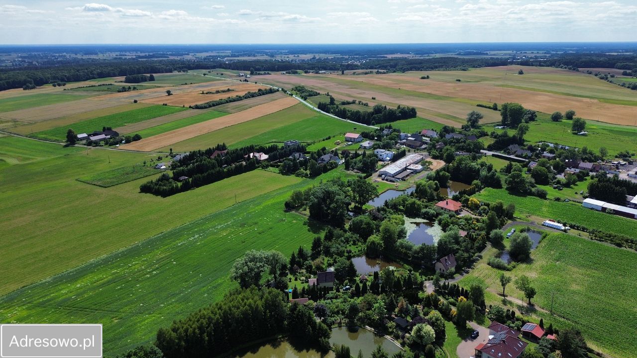 Działka budowlana Dębe. Zdjęcie 5