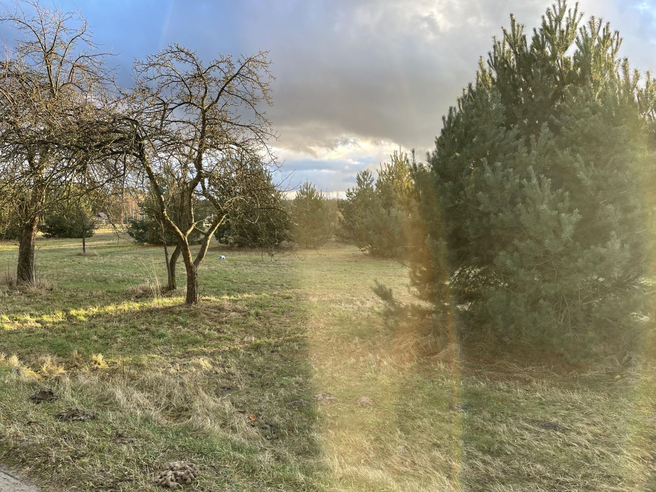 Działka budowlana Uśniaki. Zdjęcie 5