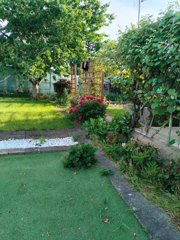 Działka rod Nowa Sól. Zdjęcie 1