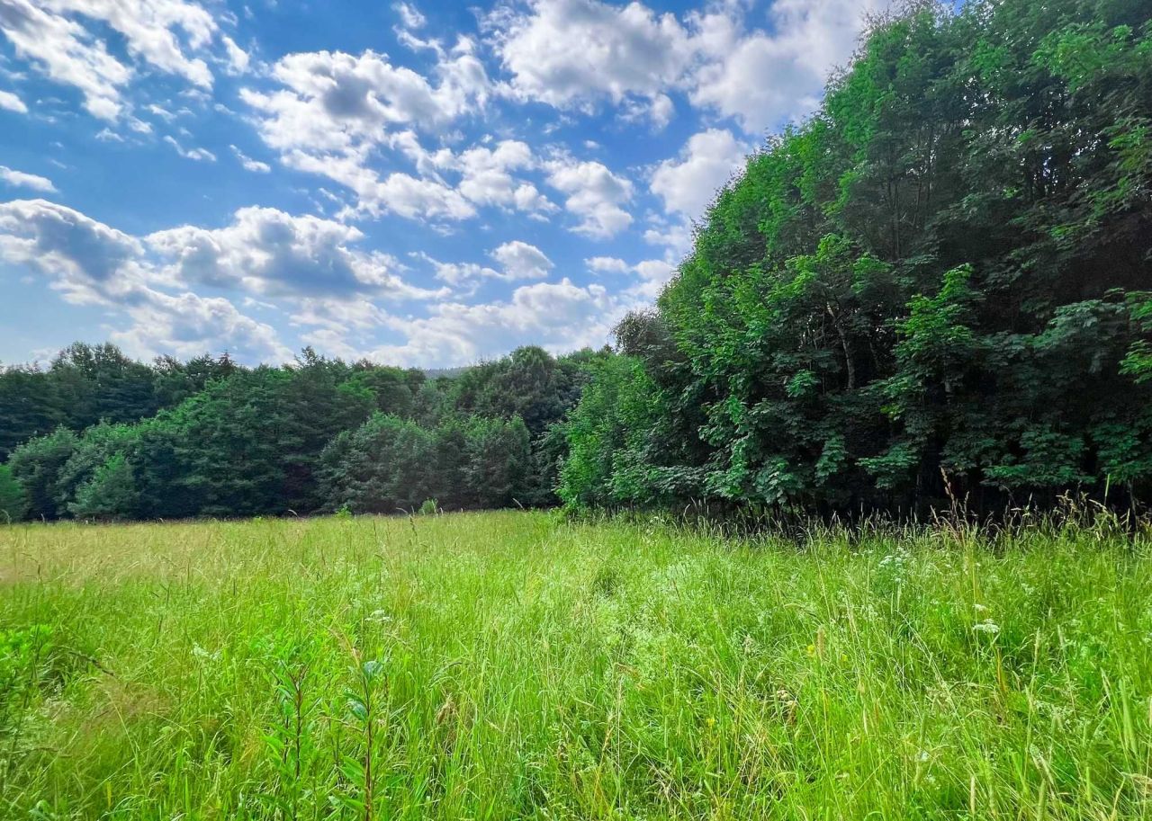 Działka budowlana Nowa Bystrzyca. Zdjęcie 4