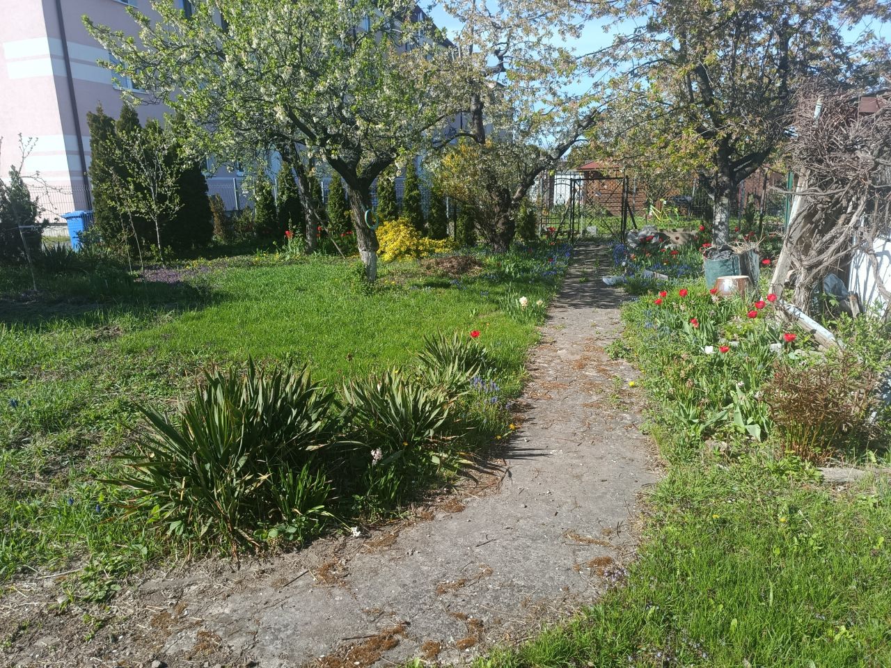 Działka rod Świdnica, ul. Jodłowa. Zdjęcie 3