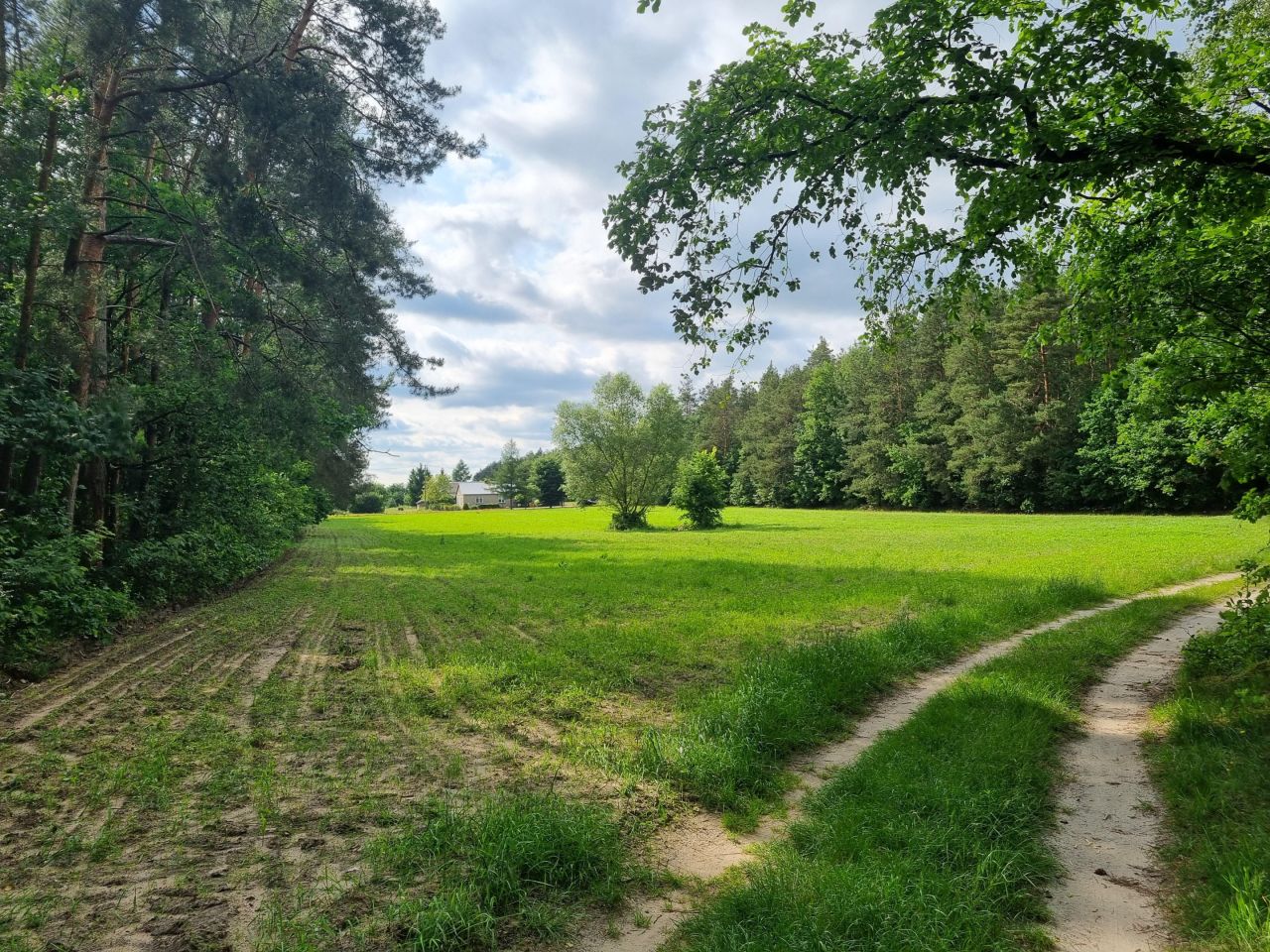 Działka budowlana Jabłonów. Zdjęcie 8