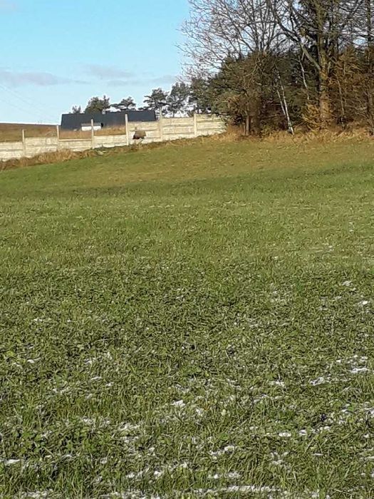 Działka budowlana Kościerzyna-Wybudowanie. Zdjęcie 2