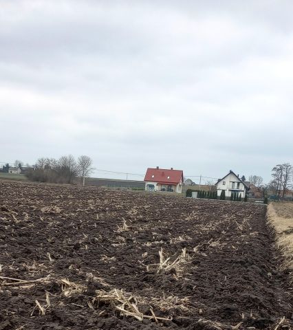 Działka rolna Stogniowice Hektary. Zdjęcie 1