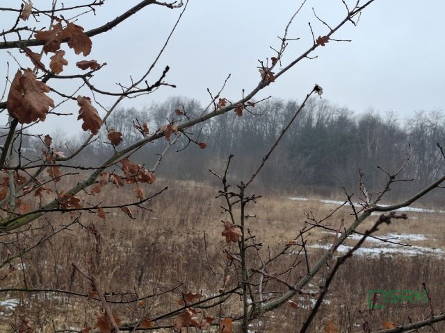 Działka inna Brzeszcze, ul. Franciszka Drobniaka. Zdjęcie 3