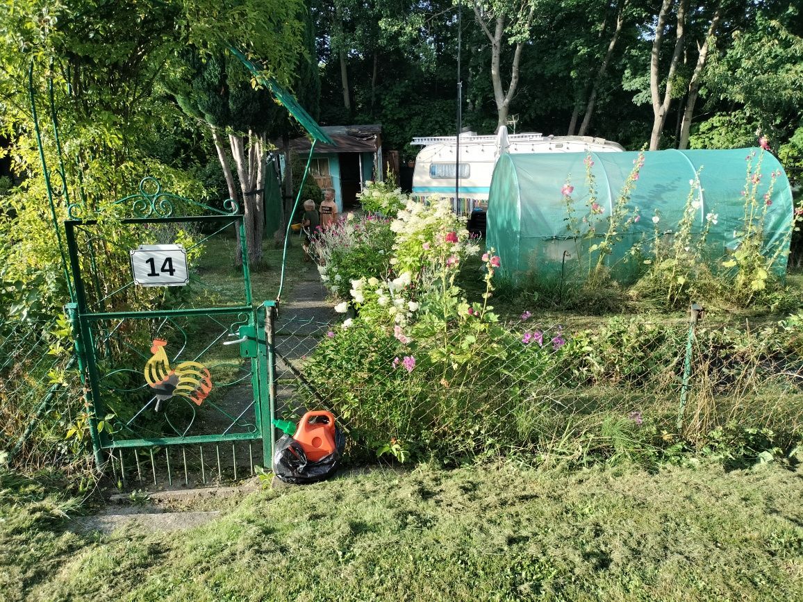 Działka rod Straszyn, ul. inż. A. Hoffmanna. Zdjęcie 8