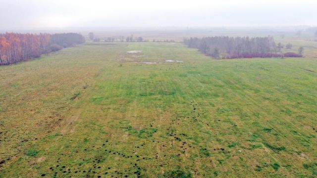 Działka rolna Siedliska. Zdjęcie 7