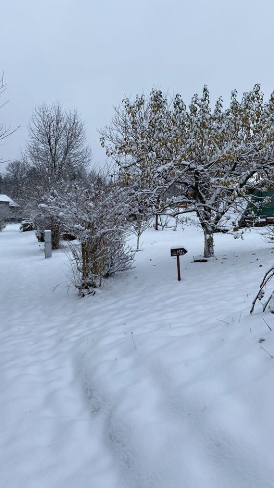 Działka rod Uniszowice. Zdjęcie 8