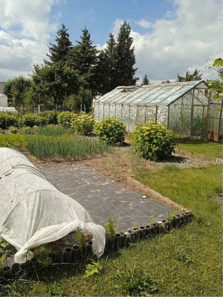 Działka rod Zelów. Zdjęcie 2