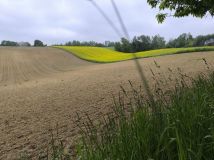 gospodarstwo Sułowiec. Zdjęcie 4