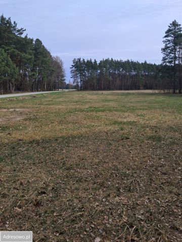 Działka budowlana Kurzelów. Zdjęcie 1