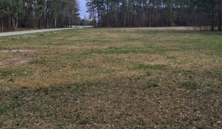 Działka budowlana Kurzelów