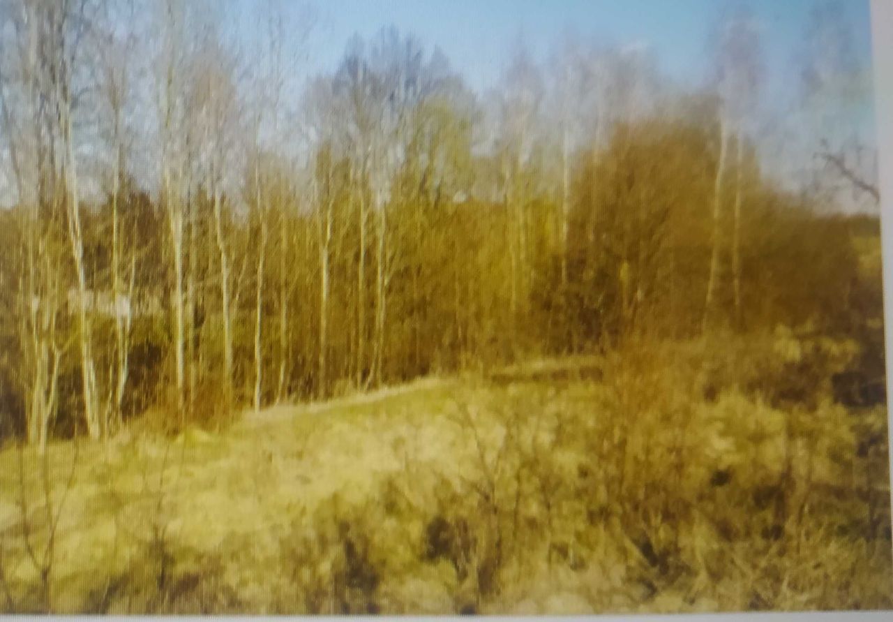 Działka rolno-budowlana Skały