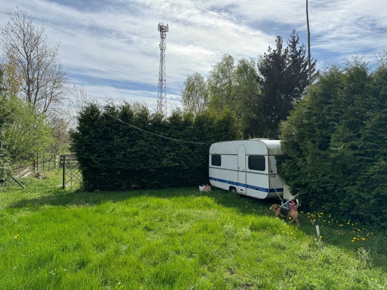 Nieruchomość komercyjna Cieszyno. Zdjęcie 3