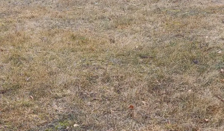 Działka budowlana Uwieliny