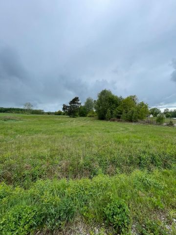 Działka budowlana Głosków. Zdjęcie 1