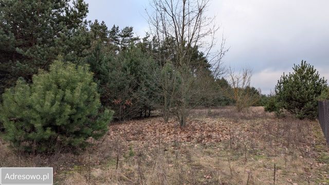 Działka budowlana Krubin, ul. Czerwienna. Zdjęcie 1