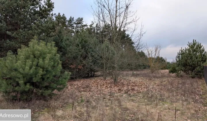 Działka budowlana Krubin, ul. Czerwienna