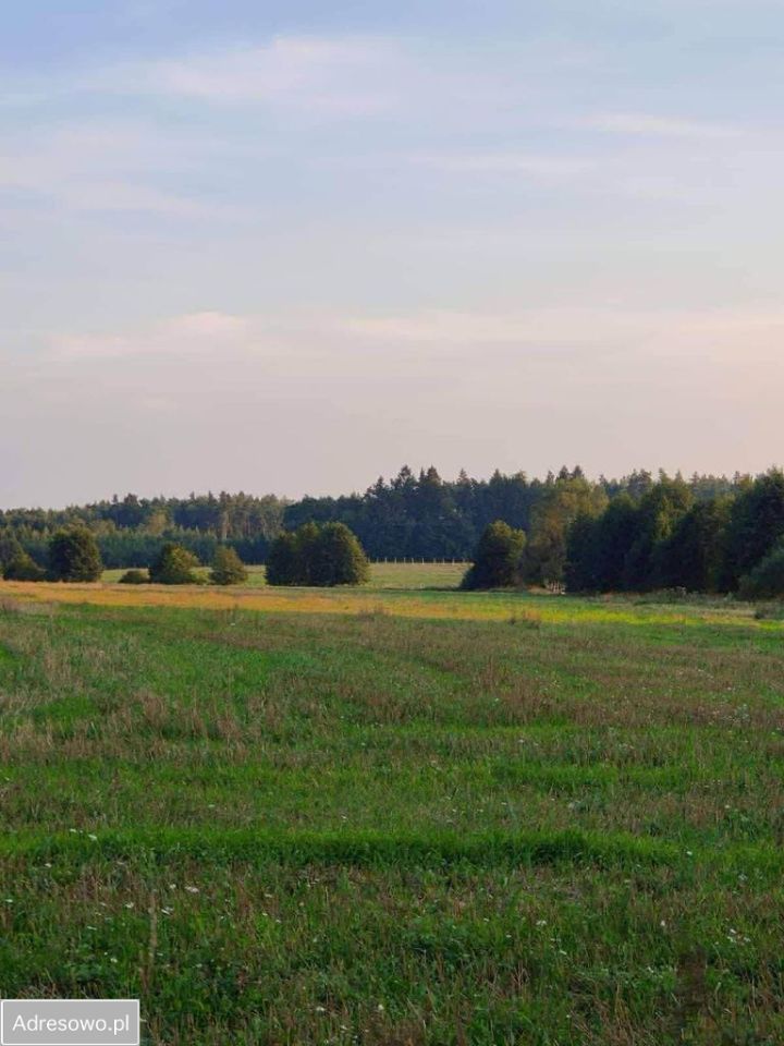 Działka budowlana Komorniki. Zdjęcie 5