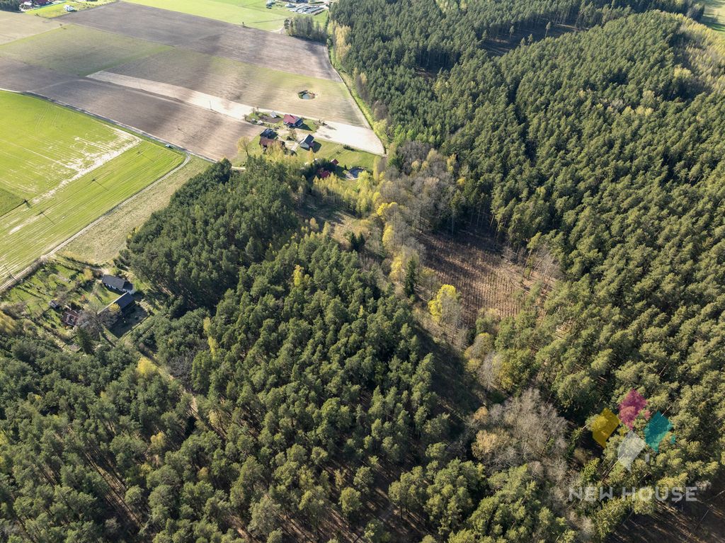 Działka budowlana Świętajno, ul. Grunwaldzka. Zdjęcie 8