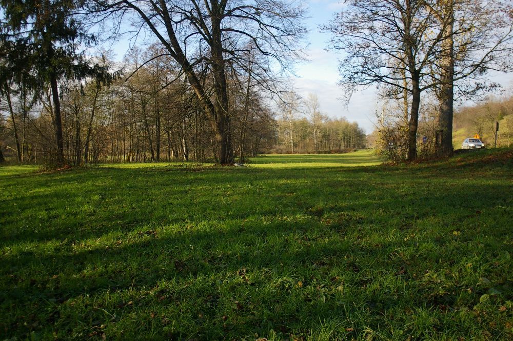 Działka siedliskowa Wąwolnica. Zdjęcie 2