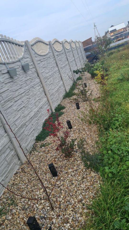 Działka budowlana Wodziczna. Zdjęcie 3