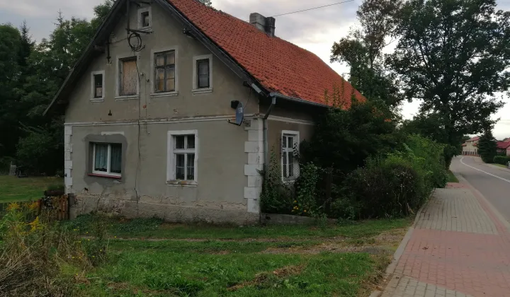 dom wolnostojący Woźnice