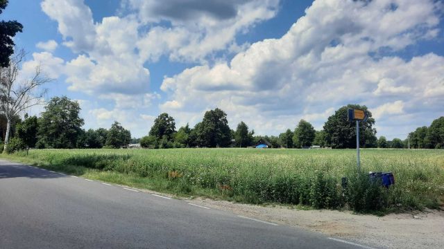 Działka budowlana Boruja Kościelna. Zdjęcie 1