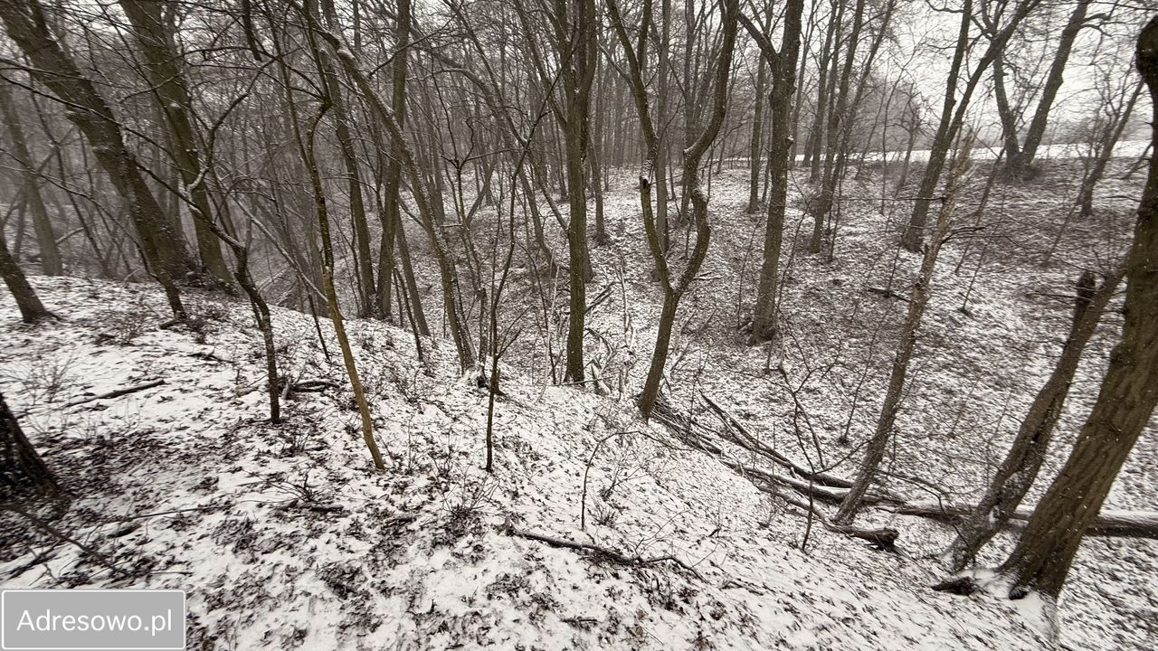 Działka budowlana Ostromecko. Zdjęcie 12