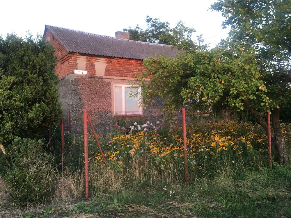 dom wolnostojący Wiecinin. Zdjęcie 5