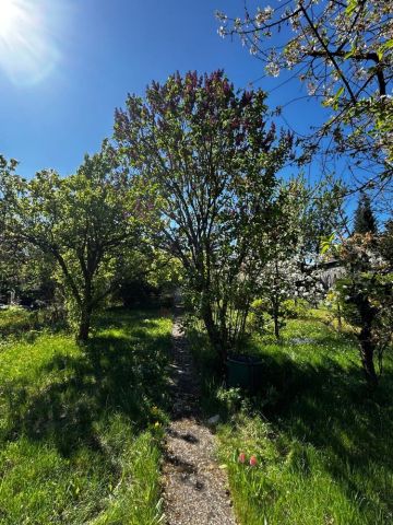 Działka rod Częstochowa Tysiąclecie. Zdjęcie 1