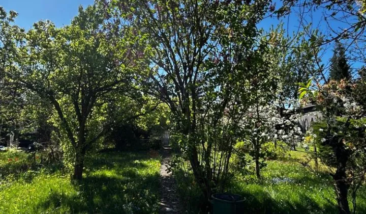 Działka rod Częstochowa Tysiąclecie