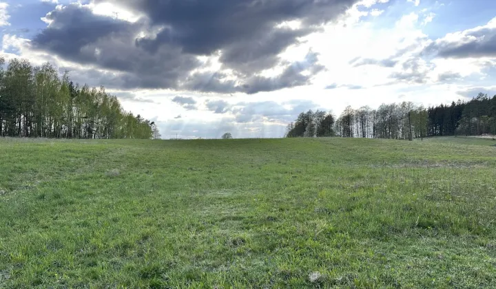 Działka rolna Dobra Wola
