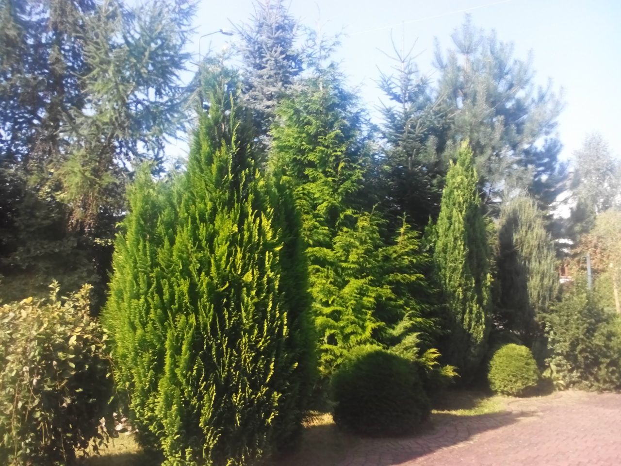 dom wolnostojący, 8 pokoi Grzybowo, ul. Nadmorska. Zdjęcie 10