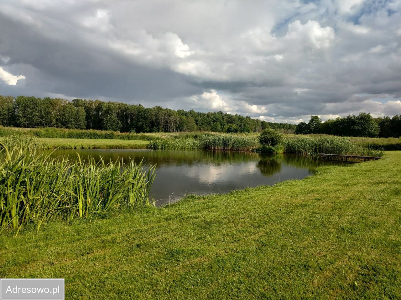 Działka rekreacyjna Ruta Gradowo. Zdjęcie 8