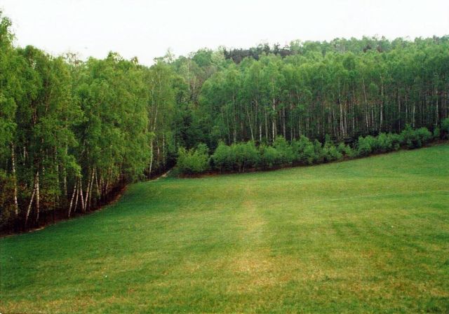 Działka rolno-budowlana Smardzew. Zdjęcie 10