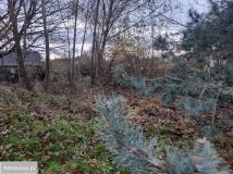 Działka budowlana Koszalin Rokosowo, ul. Grabowa. Zdjęcie 3