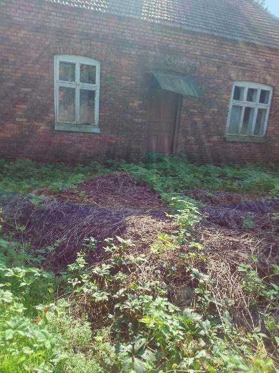 Działka siedliskowa Kocina. Zdjęcie 3