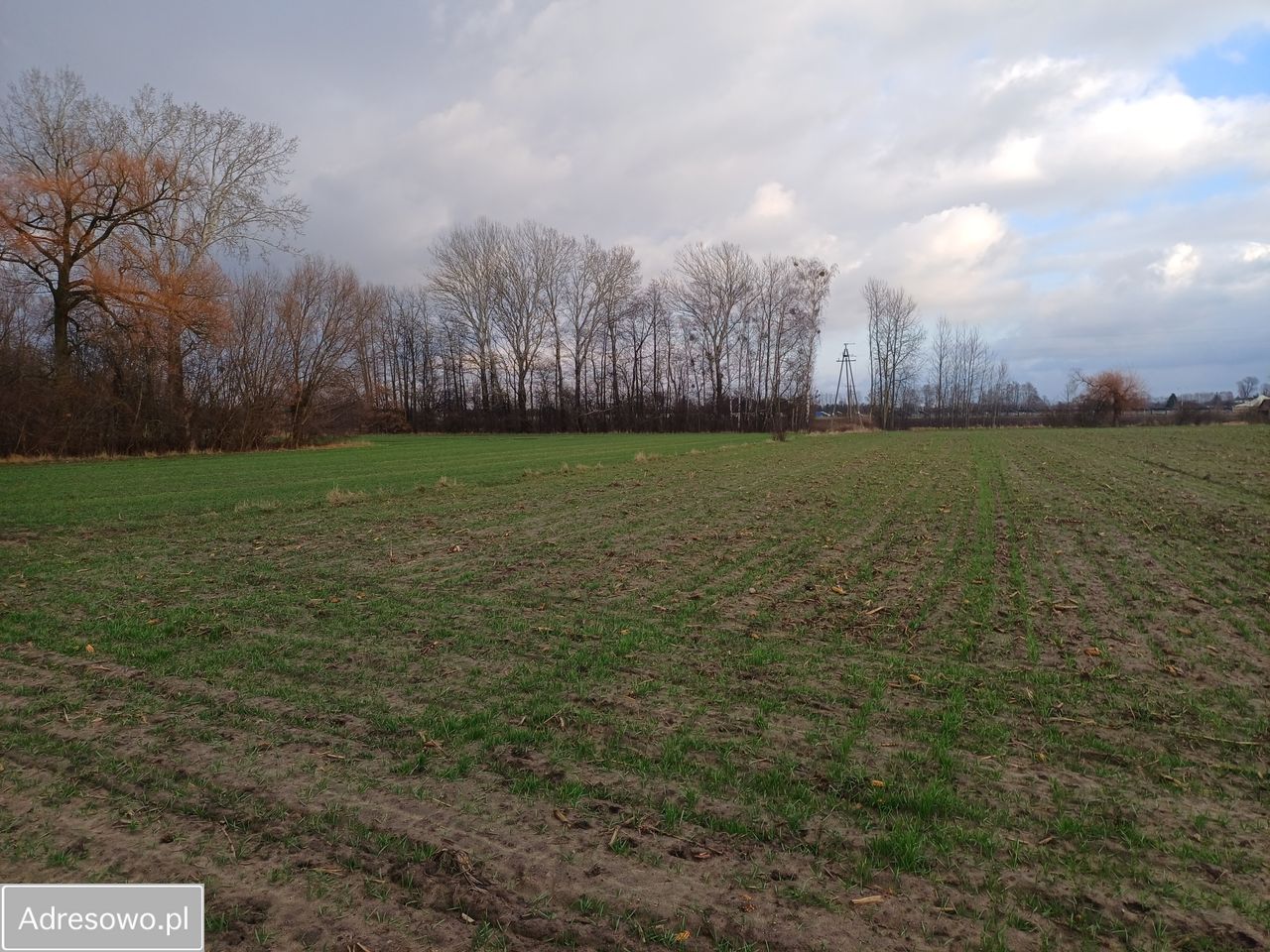 Działka rolna Kozery Nowe, ul. Popławska. Zdjęcie 16