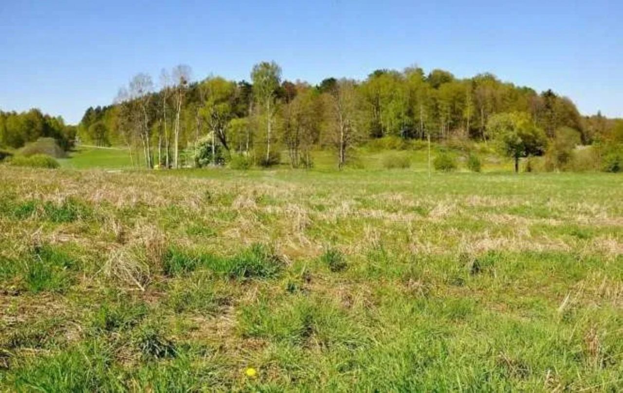 Działka budowlana Medyny. Zdjęcie 5