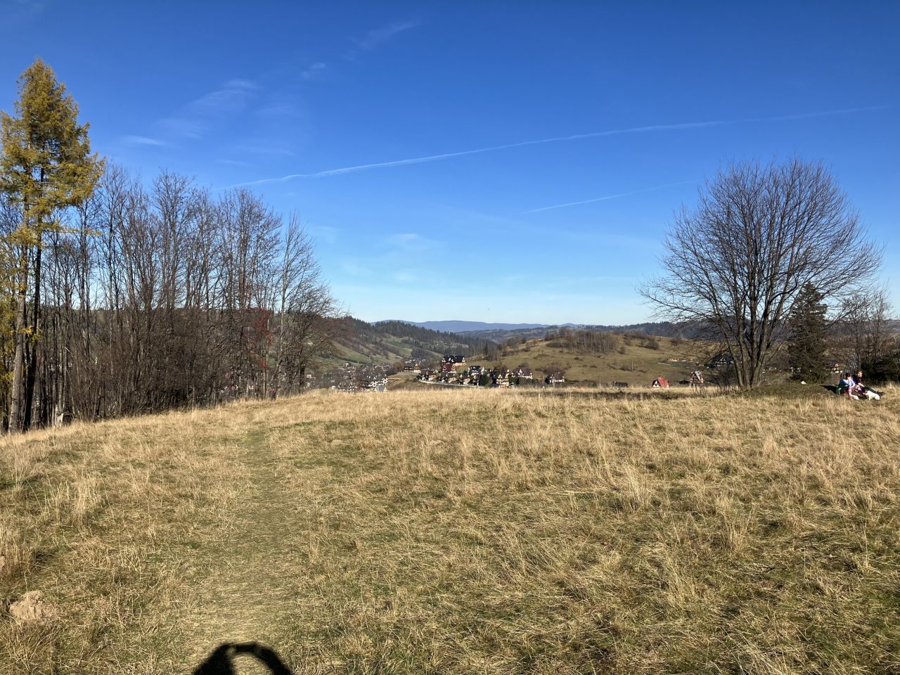 Działka rolna Zakopane Antałówka, ul. Smrekowa. Zdjęcie 4