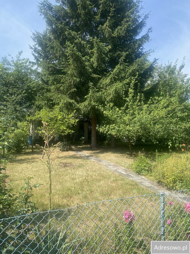 Działka rod Świdnica. Zdjęcie 3